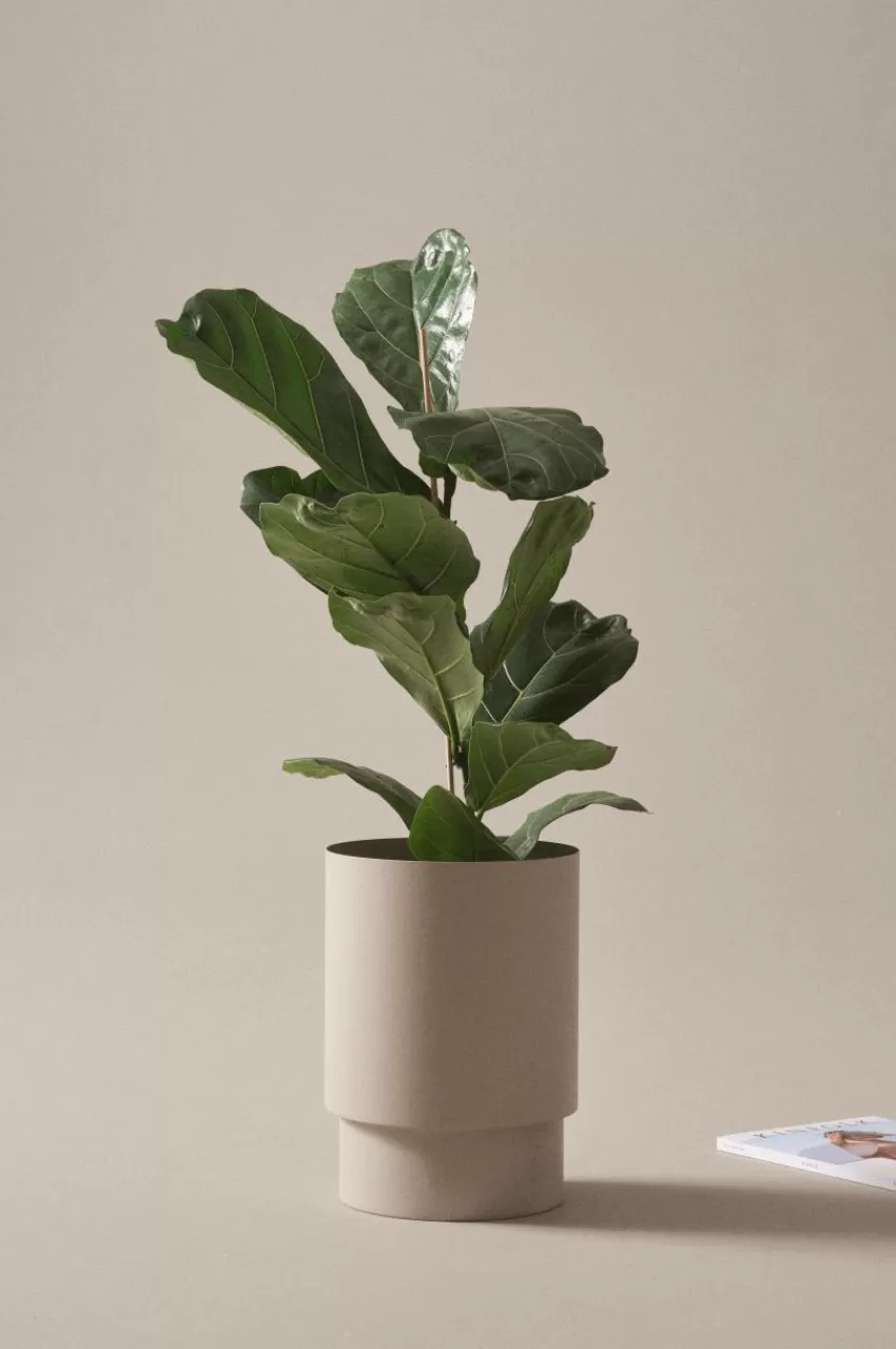 Utekrukor | Krukor*Jotex DESTINY Kruka ø 25 Cm Beige