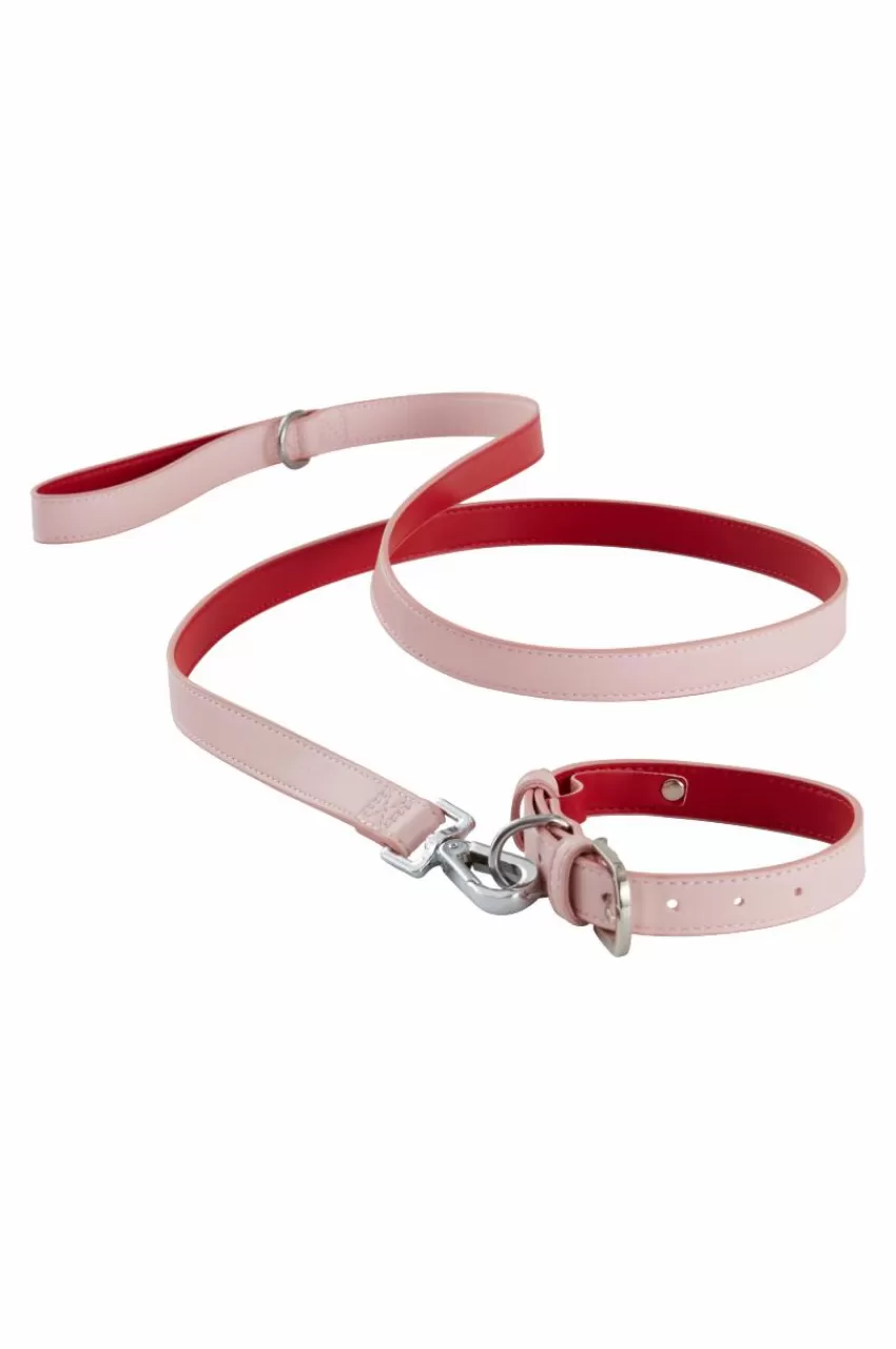 Djurtillbehör*Jotex INU Hundhalsband/katthalsband Röd/rosa