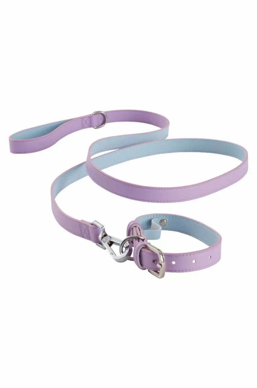 Djurtillbehör*Jotex INU Hundhalsband/katthalsband Blå/lila