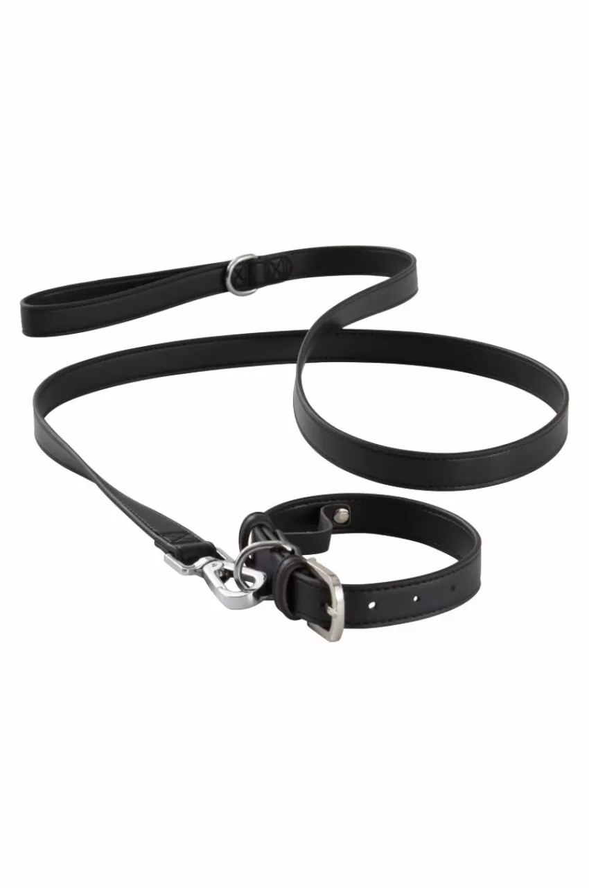 Djurtillbehör*Jotex INU Hundhalsband/katthalsband Svart
