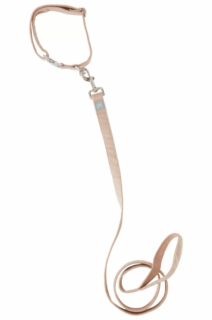 Djurtillbehör*Jotex LUCA Koppel Och Hundhalsband Beige