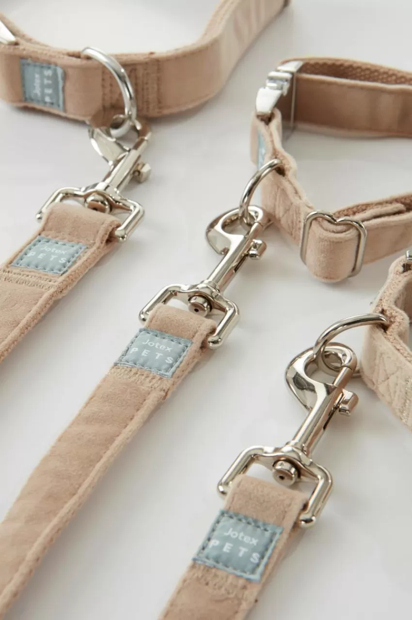 Djurtillbehör*Jotex LUCA Koppel Och Hundhalsband Beige