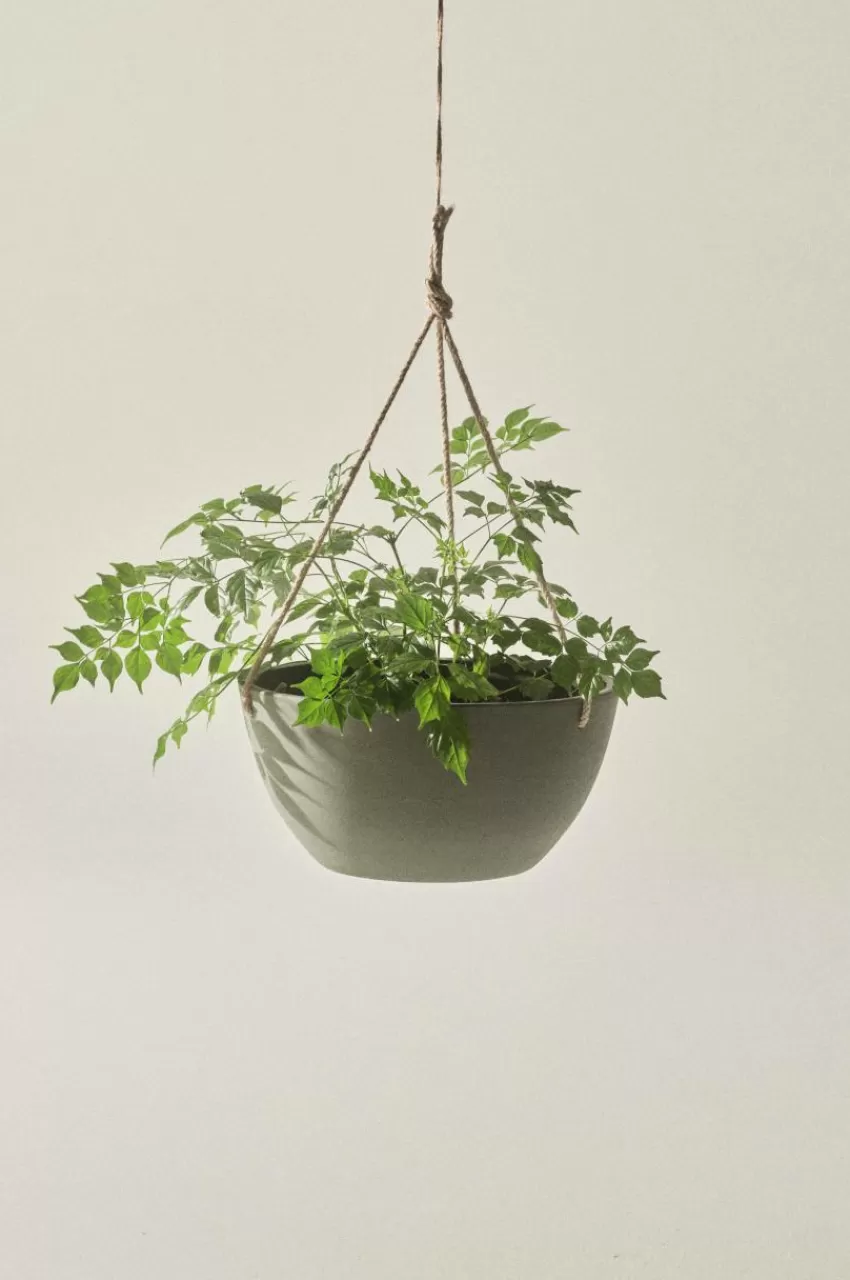 Utekrukor | Krukor*Jotex MARK Ampelkruka ø 31 Cm undefined
