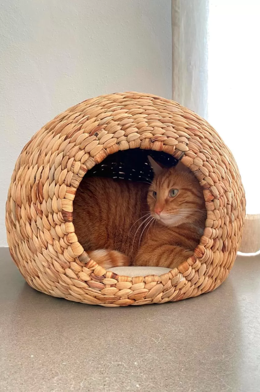 Hundbädd/Kattbädd*Jotex NIKO Hundbädd/kattbädd Natur