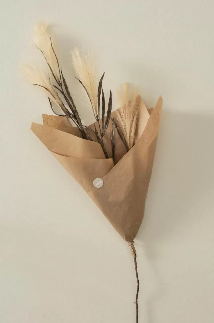 Vaser*Jotex PAMPAS WIND 1 Stjälk Beige/brun