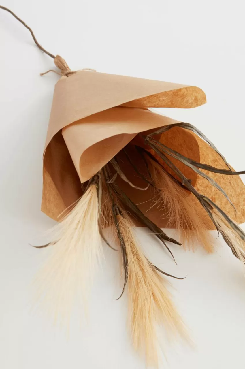 Vaser*Jotex PAMPAS WIND 1 Stjälk Beige/brun