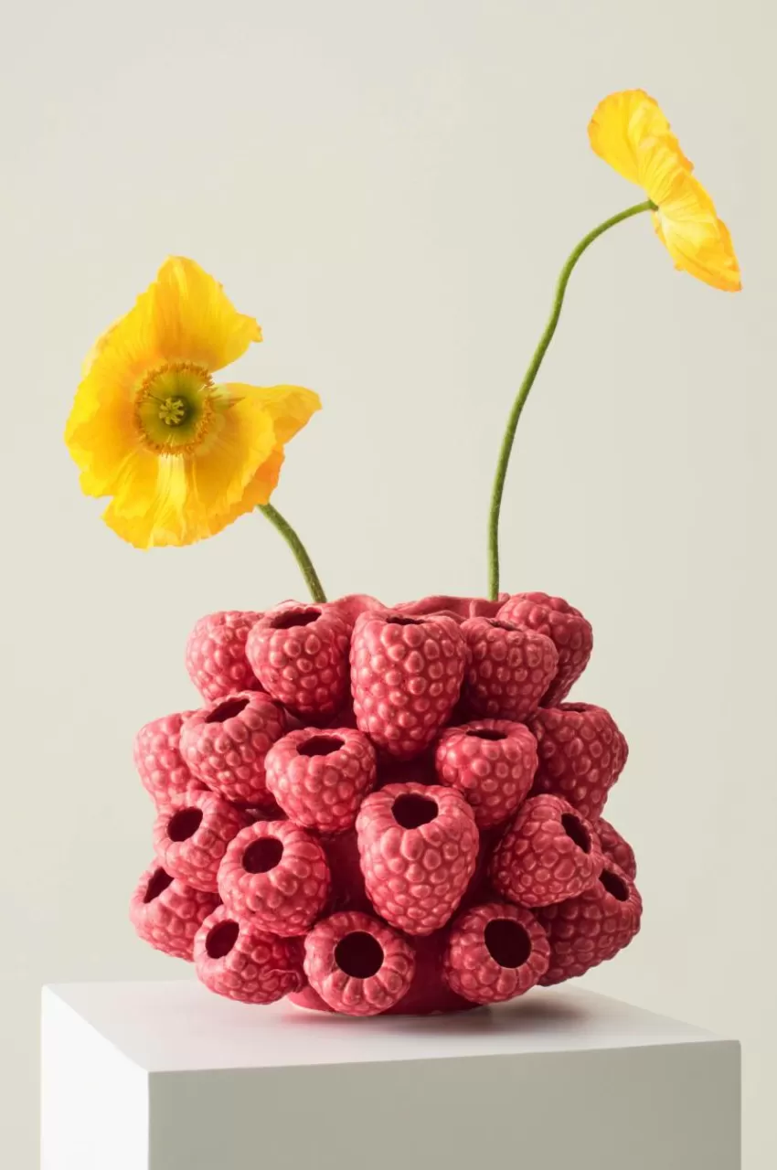 Vaser*Jotex RASPBERRY Vas/kruka
