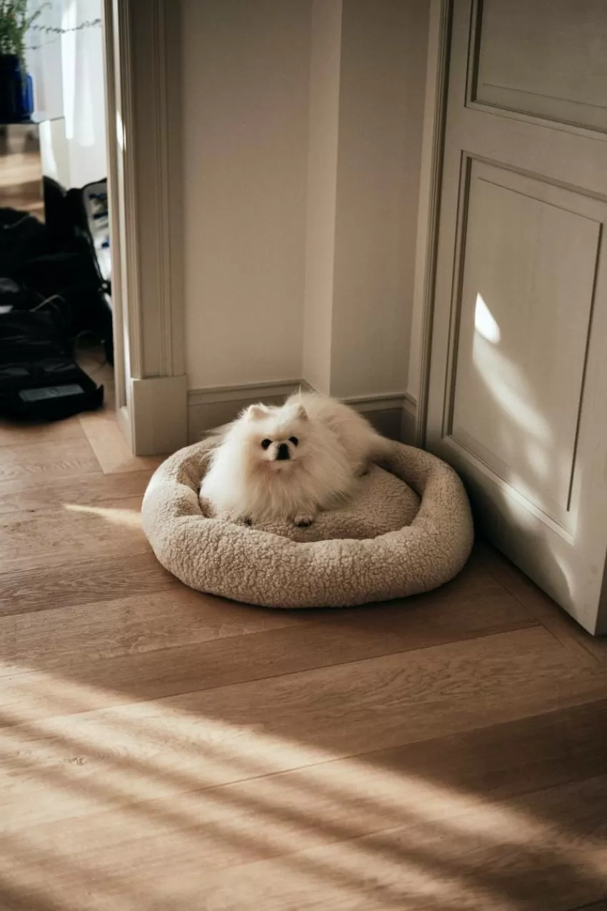 Hundbädd/Kattbädd*Jotex YOSHI Hundbädd/kattbädd Beige